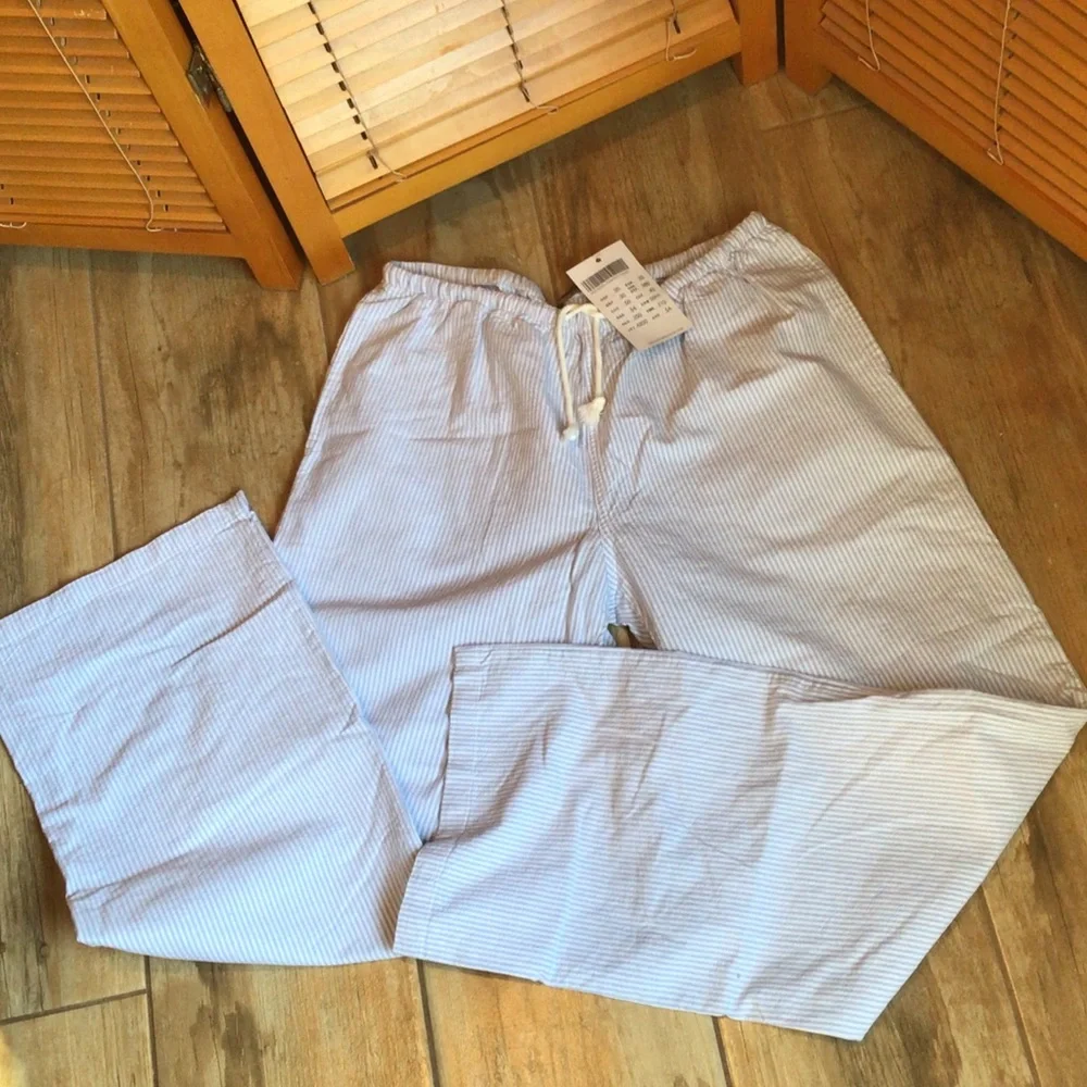 Brandy Melville Light Blue pin Stripe Pants